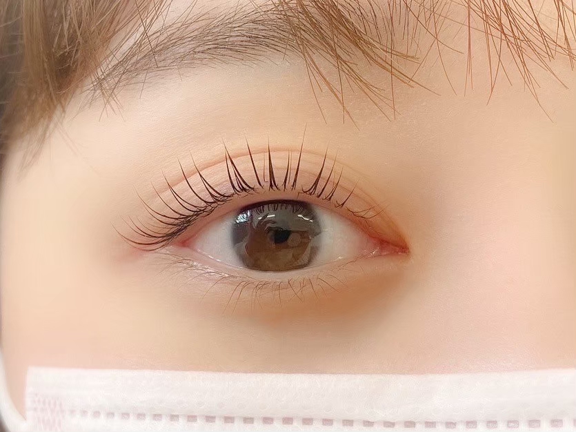 大人気パリジェンヌラッシュリフトってどんなもの？通常まつげ  